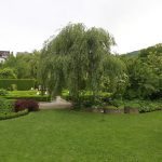 Romantischer Kräutergarten 4